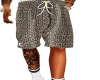 NC TOMBOY N1