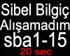 Sibel Bilgic-Alisamadim