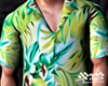 Hawaii Casual Tshirt v3
