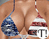 T! 4th July Party Bundle