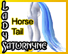 Blue Flowing Horse Tail