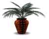 Orange/Black Plant Vase