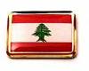 Effect Poses lebanon