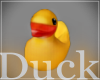 Duck - Pato