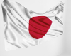 Japan Flag - History
