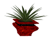 Red Potted Plant