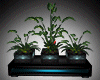 Teal Trio Plants