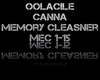 (⚡) Memory Cleanser V2