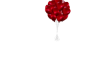 Heart Balloon with Pose