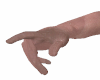 Hand Michelangelo