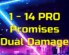 *(PRO) Promises*