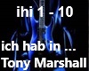 Tony Marshall ich hab in