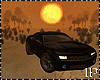 Sunshine Desert Car PR