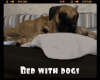-IC- Bed with Dogs NP