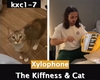 T.kiffness/cat Xylophone