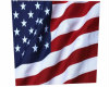 ! USA Flag Fireworks BG