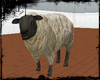 Do. Sheep