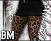 BL| Req BM| HW & Leopard