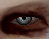 # Herzog Eyes