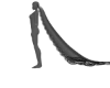 Veil