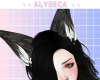 Aly! Big Bad's Ears