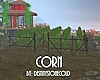 SC Growing Corn
