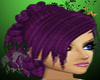 {BH}Purple Contessa