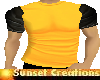A yellow/blk sl t-shirt