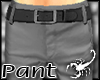 38RB Gray Pant