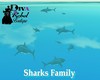|DRB| Sharks Family