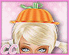 CC|Pumpkin Bundle