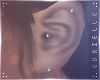 E~ Silver Studs Earrings
