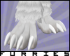 [F]Snow Lynx Paws(F)
