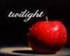 Twilight Love