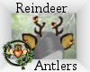~QI~ Reindeer Antlers
