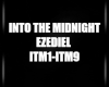 S. Into The Midnight