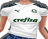 Camisa Palmeiras F