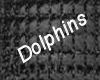 Dolphins Cry