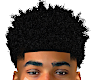 LAMAR FRO 2