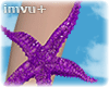 purple arm starfish R