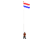 nederlandse flag