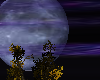 ! animated  moon !
