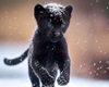 panther cub pic