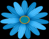 blue flower basket anim.