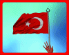 B  Türk Bayragı