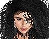 𝕯. Lola
