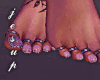 !!~Summer Feet  SXY