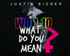 What Do You Mean-Justin 