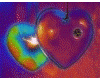 [Zyl] 2 hearts