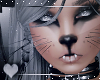 RLL Anime Kitty 